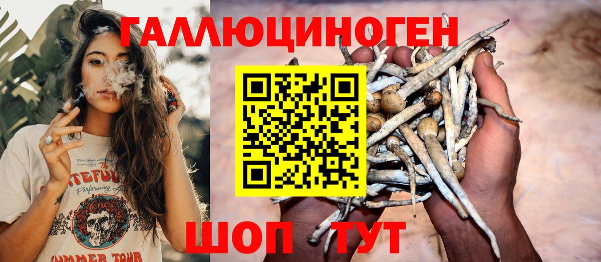 Псилоцибиновые грибы MAGIC MUSHROOMS Похвистнево