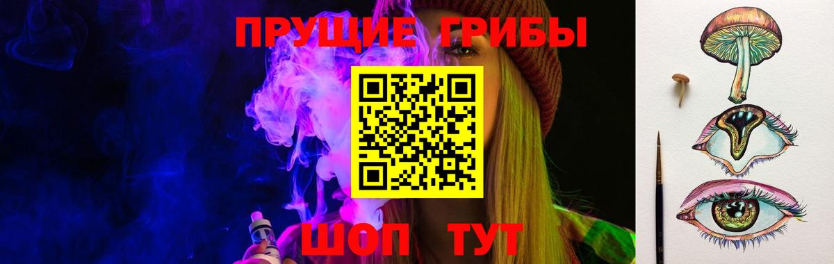 Похвистнево  Псилоцибиновые грибы прущие грибы  Вход с VPN 